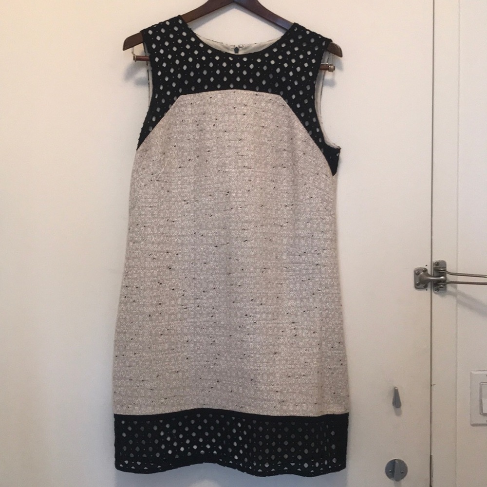Ann Taylor Twead Dress